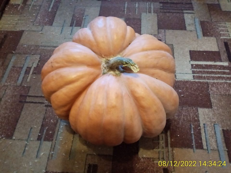 Секреты успешного хранения тыквы: советы и рекомендации