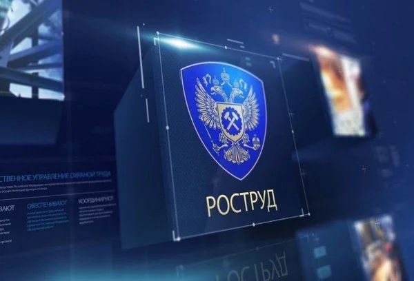 Как отказаться от наставничества: закон и практические советы