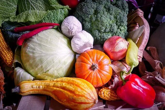 Как продлить жизнь овощам: секреты хранения капусты, сельдерея и тыквы