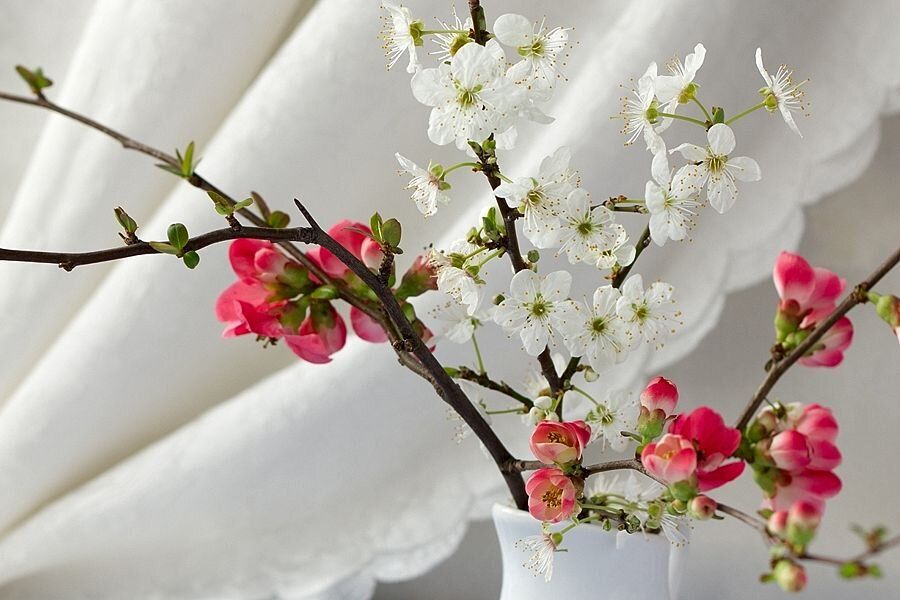 Как создать цветущий букет из веток к празднику: советы по выгонке