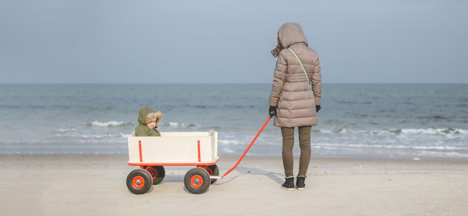 Наследство внебрачных детей: как защитить свои права спустя годы