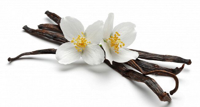 Все о ванили: натуральный аромат или его заменители?