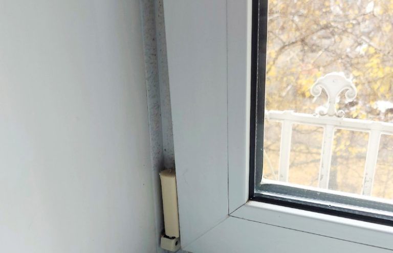 Эффективные методы борьбы с плесенью в домашних условиях