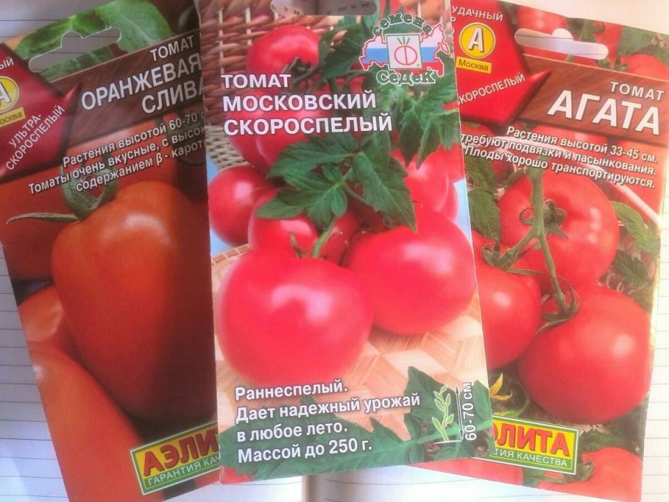 Невероятный способ ускорить прорастание семян томатов: техника с кипятком