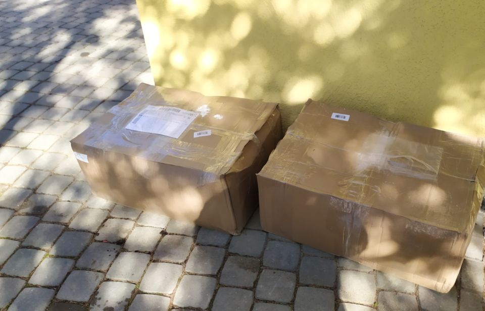 Новые горизонты московского питомника: обзор доставки и ассортимент Garden Plants