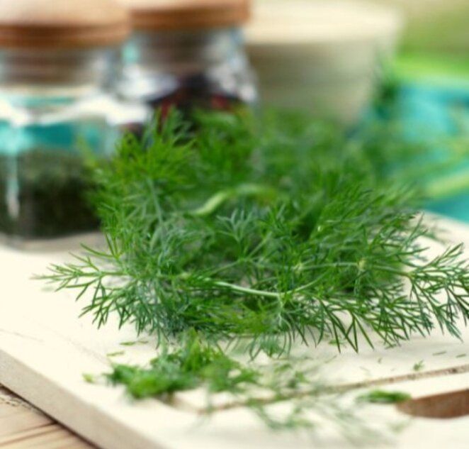 Способы продлить жизнь зелени: советы и хитрости