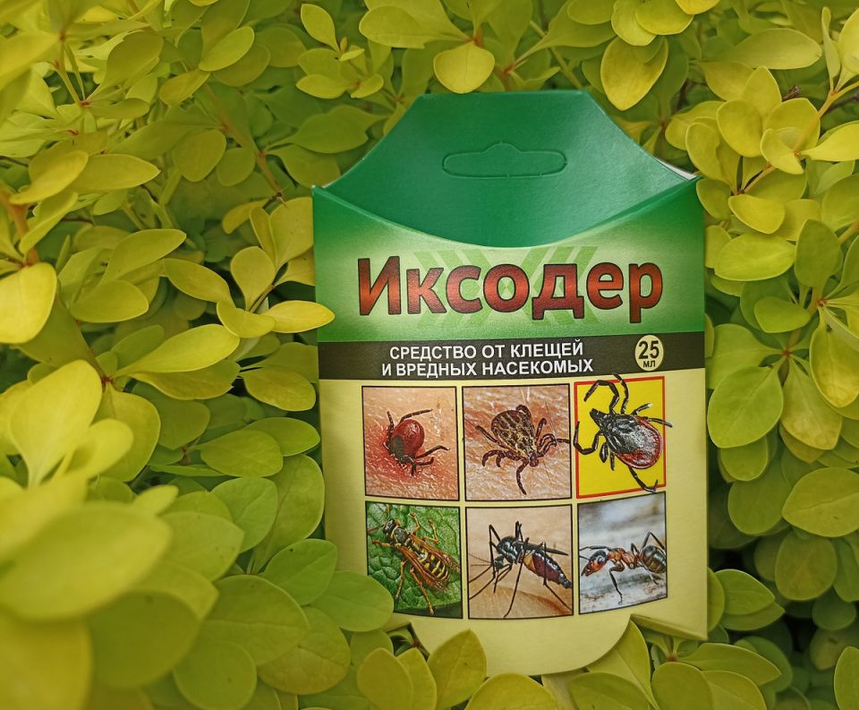 Как обеспечить безопасность на участке: борьба с клещами и осами с препаратом Иксодер