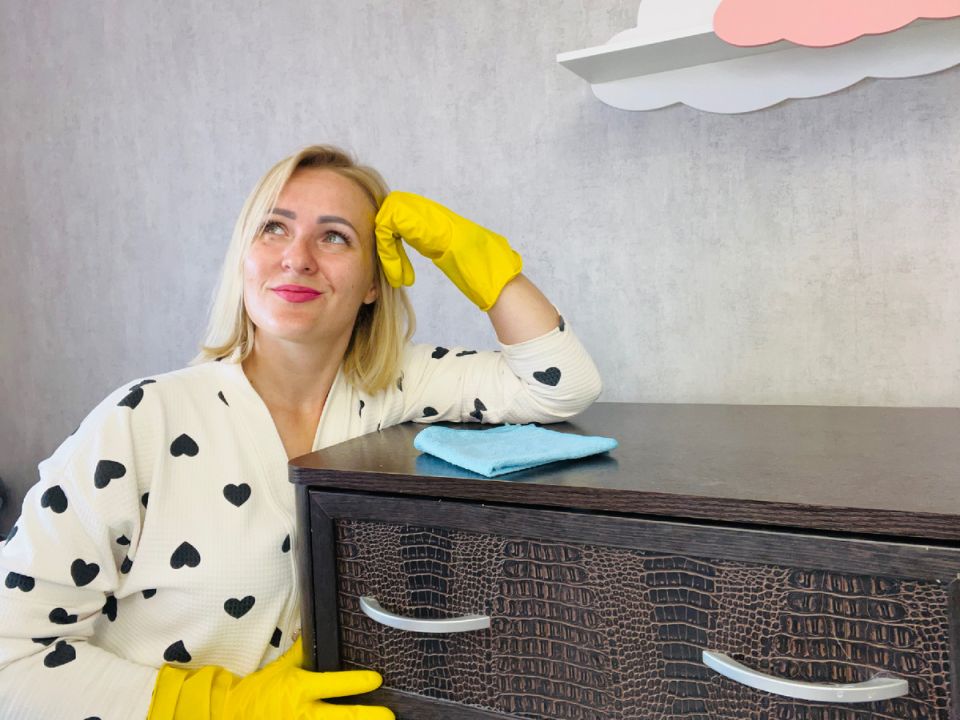 Уборка по расписанию: кто победит – дом или 20 минут в день?