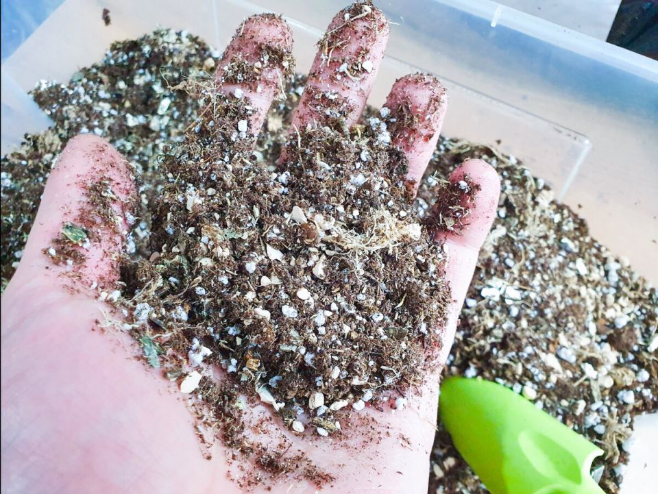 Как создать супергрунт для всех растений с минимальными затратами