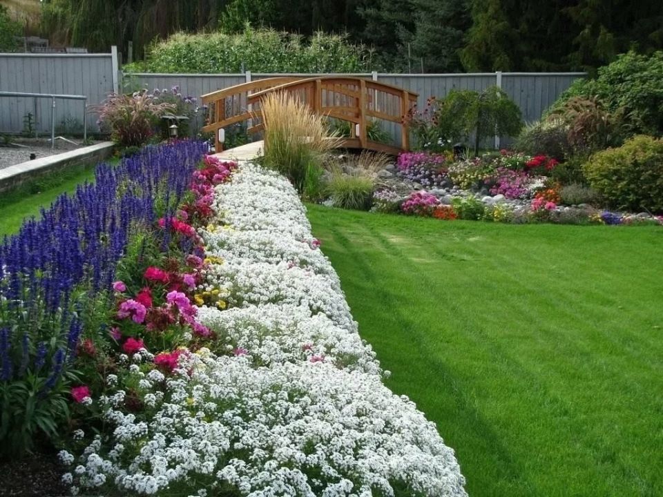 Рабатки для вашего сада: как создать идеальный цветник