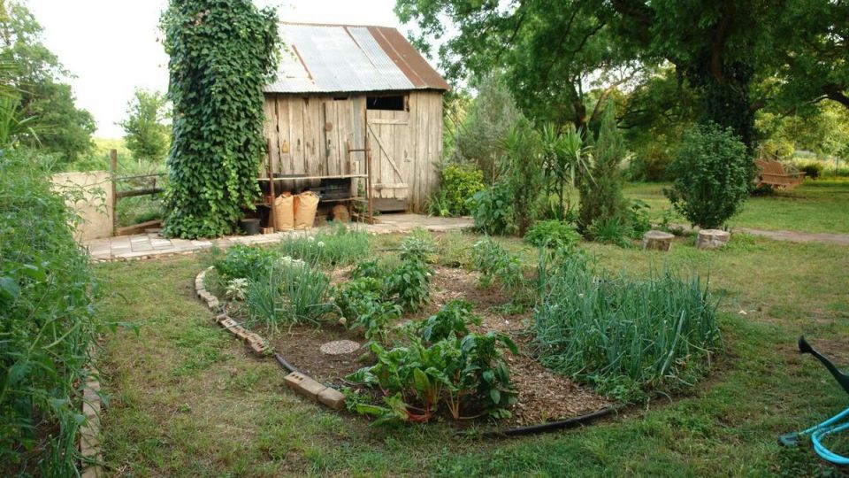 Полное руководство по плодовым культурам для садоводов