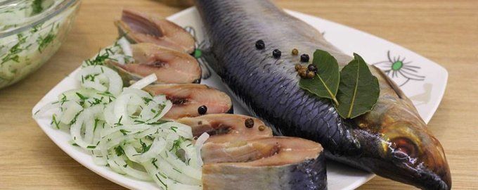 Селедка пряного посола: как сделать идеальную закуску для застолья