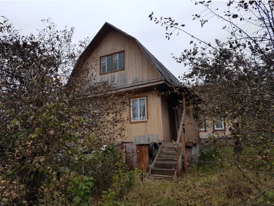 Деревенские дары: как ожидания горожан встречаются с реалиями деревенского труда