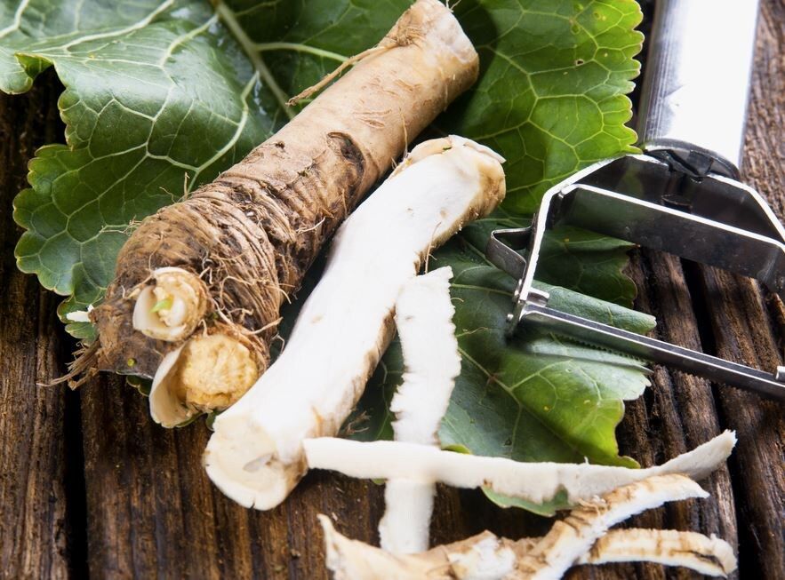 Удивительная сила хрена: храните корни и листья на зиму с умом