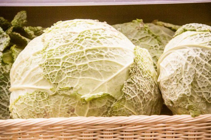 Что делать, если кочан капусты имеет горький привкус: не спешите выбрасывать овощ в мусорку