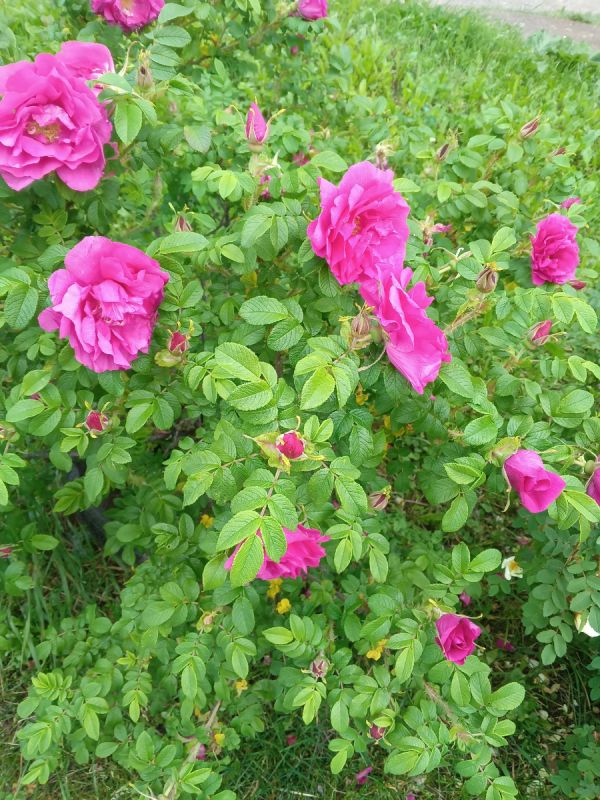 Почему завидовать пенсионерам – не лучшее решение: взгляд на трудности и реалии