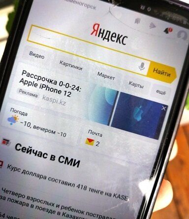 Как мгновенно узнать название растения: советы и рекомендации