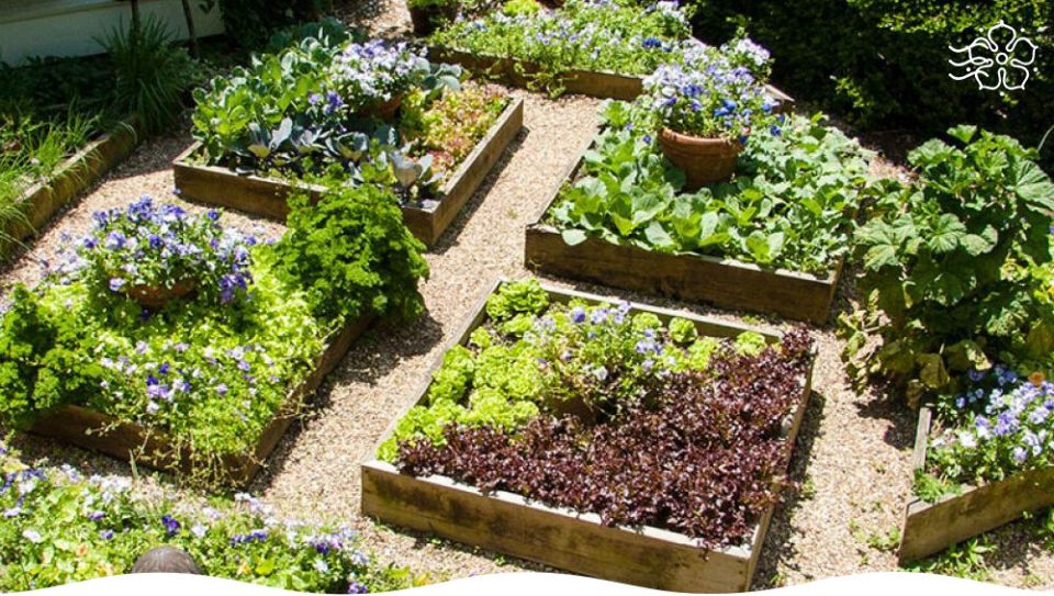 ��������� ����� ��� ������ �������: 7 ����� �������, ������� ����� �����������