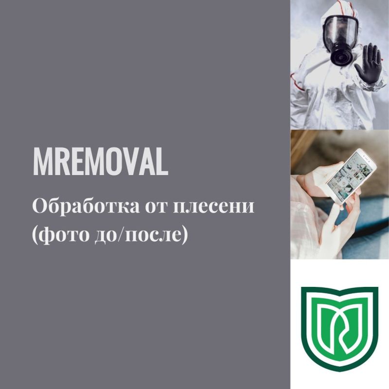 На борьбу с плесенью: как навсегда избавиться от грибка в вашем доме