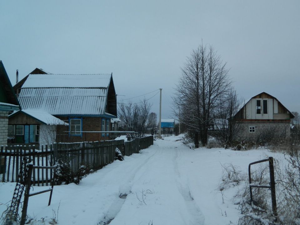 Как легко и быстро справиться со снегом на участке: проверенные советы