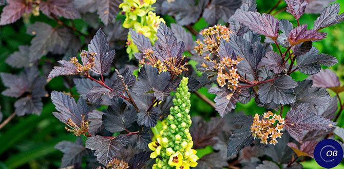 Искусство создания уютного ландшафта: секреты гармонии в вашем саду