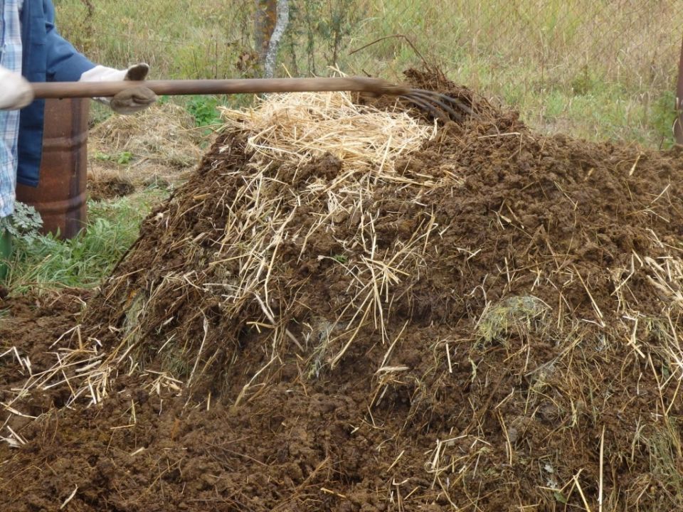 Как извлечь максимальную пользу из органических удобрений в саду и огороде