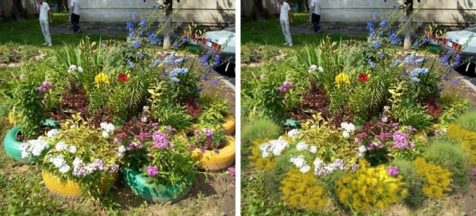 Как преобразовать унылый цветник в настоящую оазисную красоту