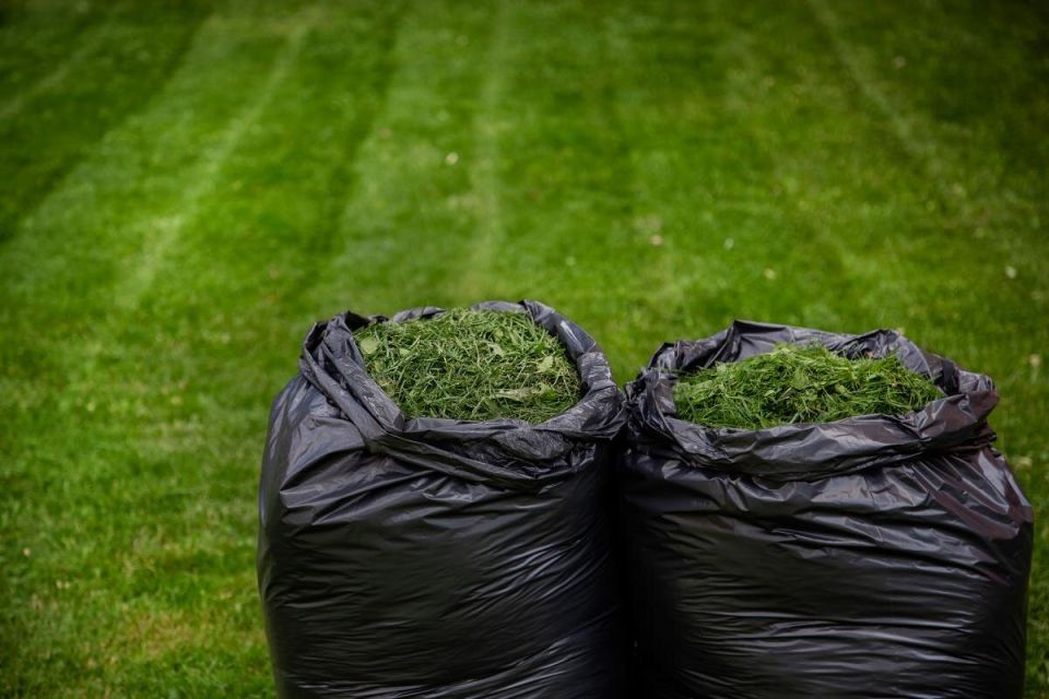 Необычные способы применения скошенной травы: полезные советы для дачников