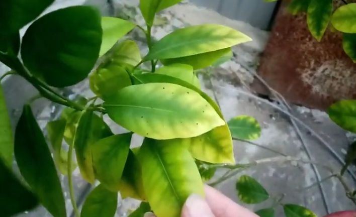 ������ � ��������� ��������� ������� ������ � ��� � ���� ��������