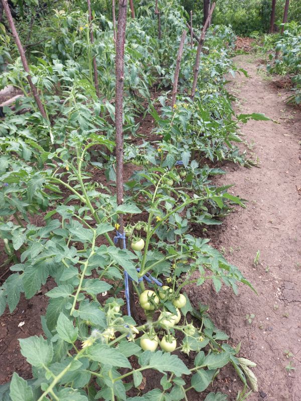 ��� �������� ������ �� ��������: �������� ������ ��� ���������