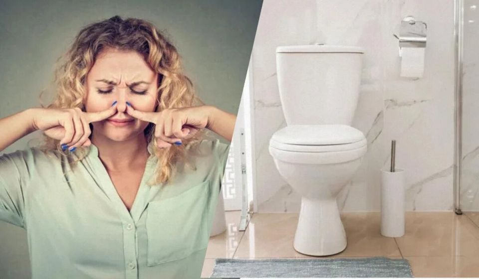 Как навсегда избавиться от запаха в туалете: простые и эффективные методы