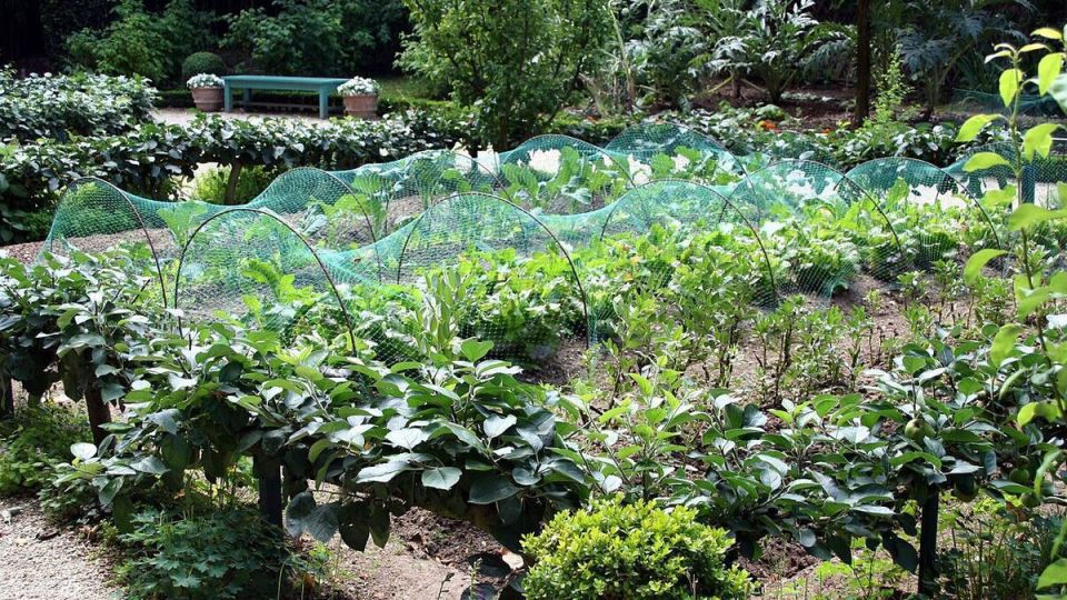 ��� ���������� � ���������� ������ �� ������� �������: ������������ ������