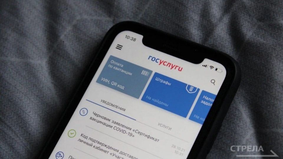 ����������� ������������� ����������: ����� ��� � �������� � �����������