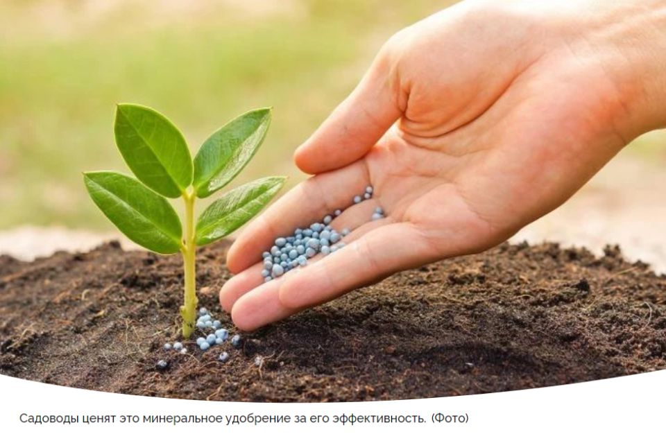 ��������: ���� � ��������� ����������� � ��������������