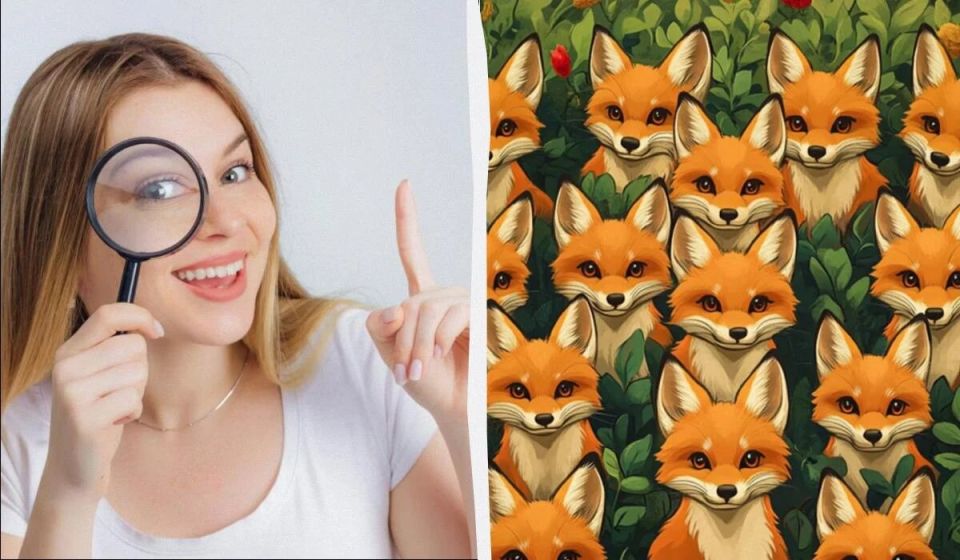 ����� � ������: ��� ����� ����� ����� ������ ������ �� 5 ������