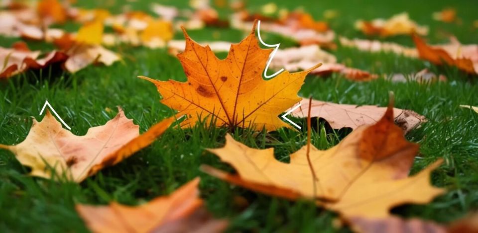 ��� ������� ��������� ���������� ���: ������� � �������� ������