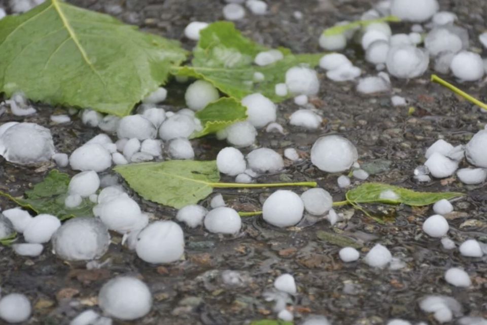 ��� ������������ �������� ����� �����: ���������� ���� � �������������� �������