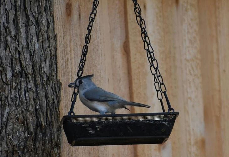 5 ���������� ����, ��� ������� �������� ��� ���� �� ��������� ����������