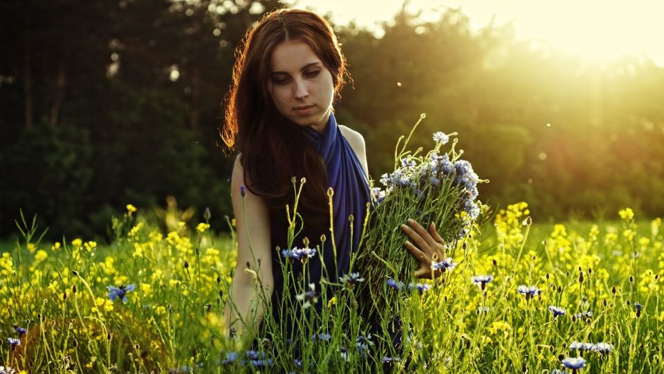 ��� ���� ������ ���� ������ �������� �����: ���� ������������ � ������������