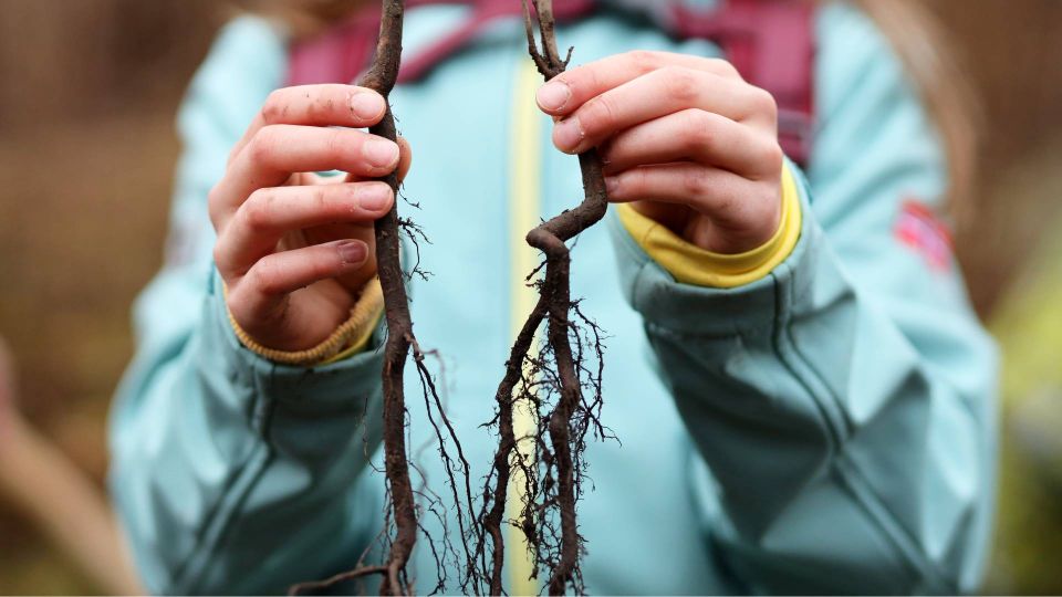 �� ����������� �� ���������, �� ������: ��� ����� ������� �������� ������� ������� �� �����