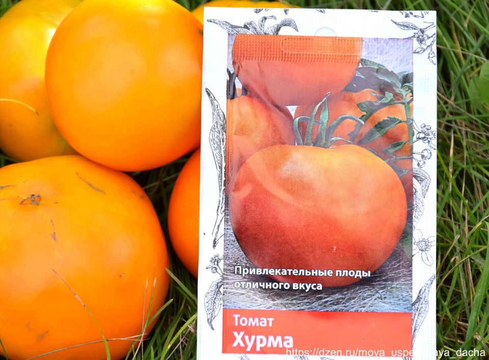 ����� ������: ��� ������������ ����� ���� �������� ���������