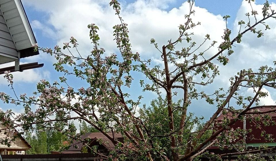 ��� ��������� �������� ������: ������� ��������� ����� � ������������� �����