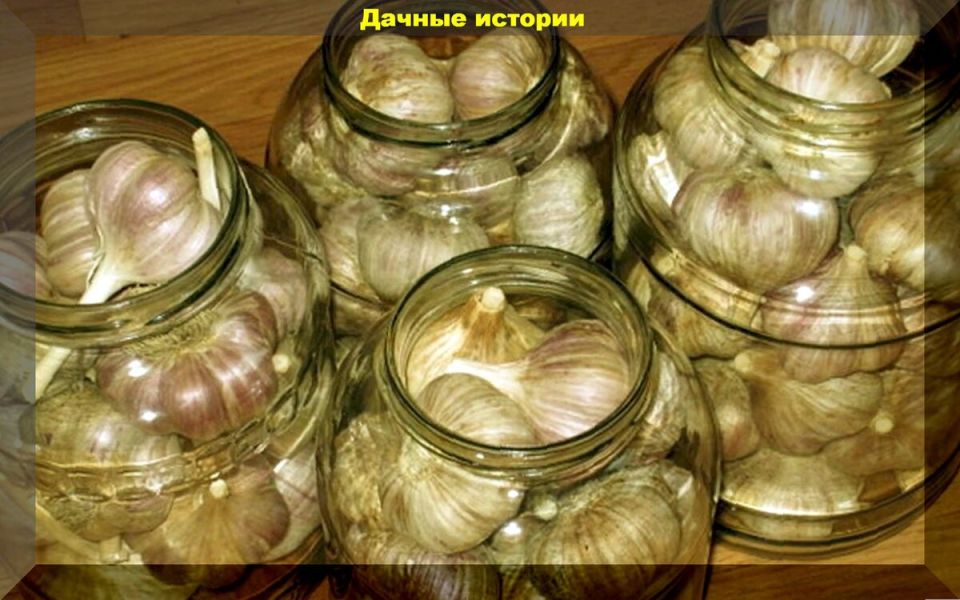 ��� ��������� ������ ������ � ��������� �� ���������� ���� ����