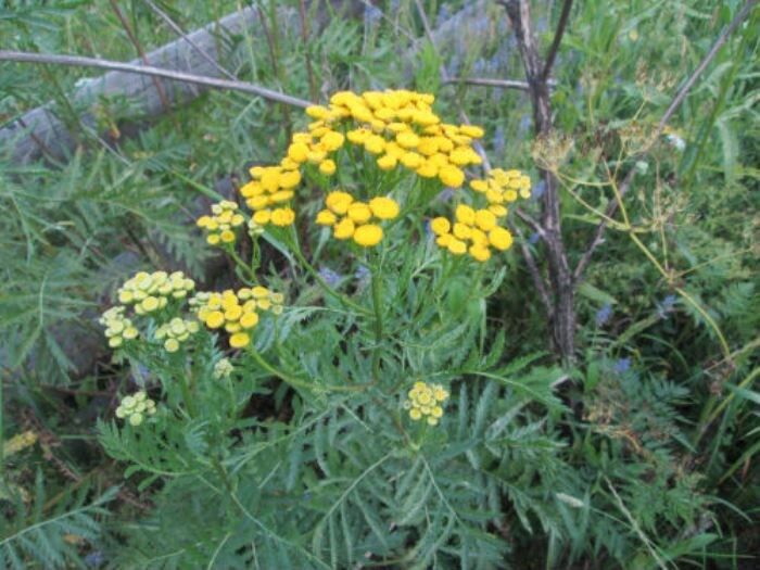 ����� ������������: ������ ������ � ������� ���������