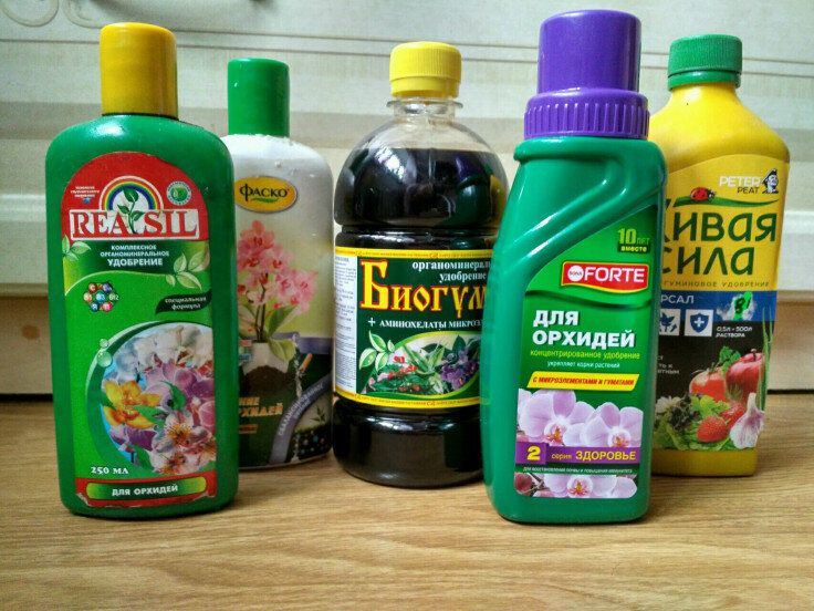 ������ ��������� ��� ��������� ��������