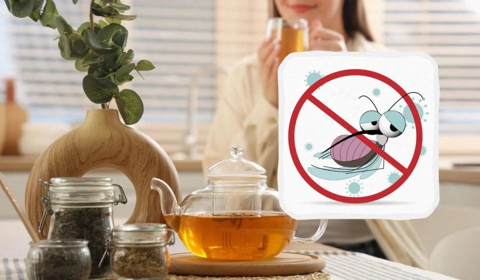 ��� ���������� �� ��������� � ����: ����������� �������, ������� ������������� ��������