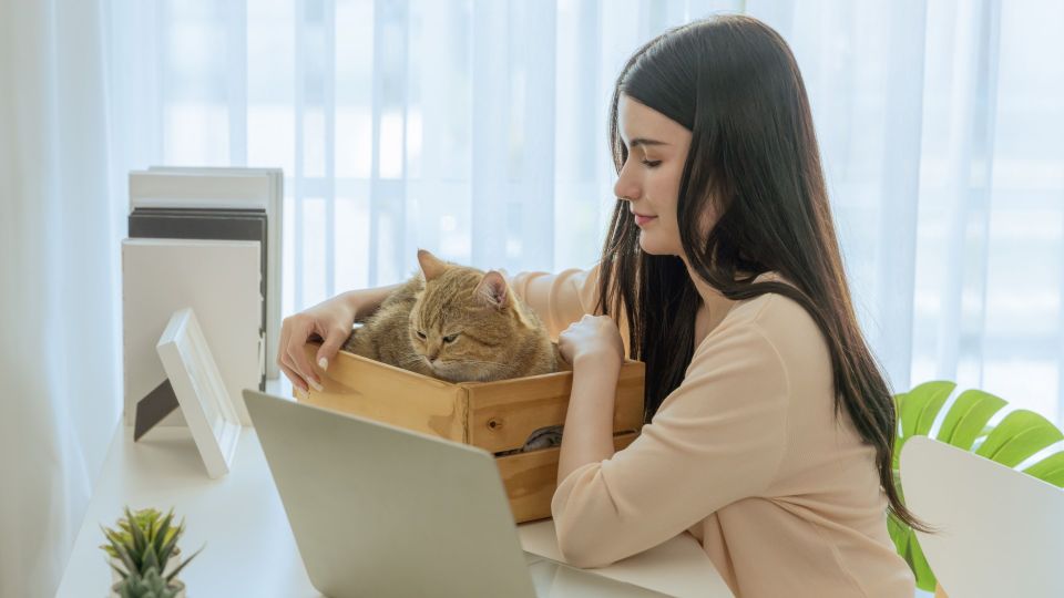 ���� ������� ������ ���� � ������ ����, ��� ����� �����: ������ �� ����������� ������