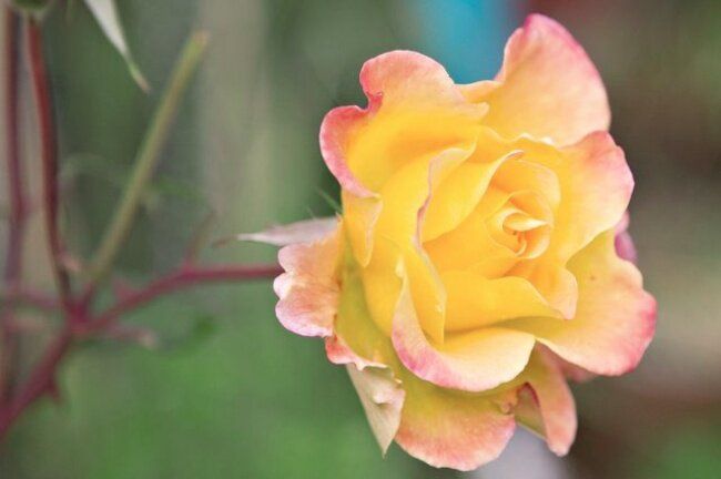 ��� ��������� ���� �� ������: ��������� ����������� ��� ���������� ���������