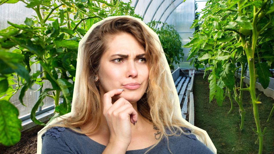 ��� ������ � ������� �������� �����: �������� ����� ����� ��������