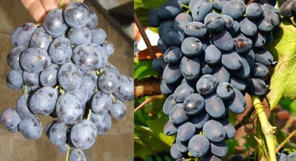 �������� ������: ������� ������ � ����� �� ���������� ������